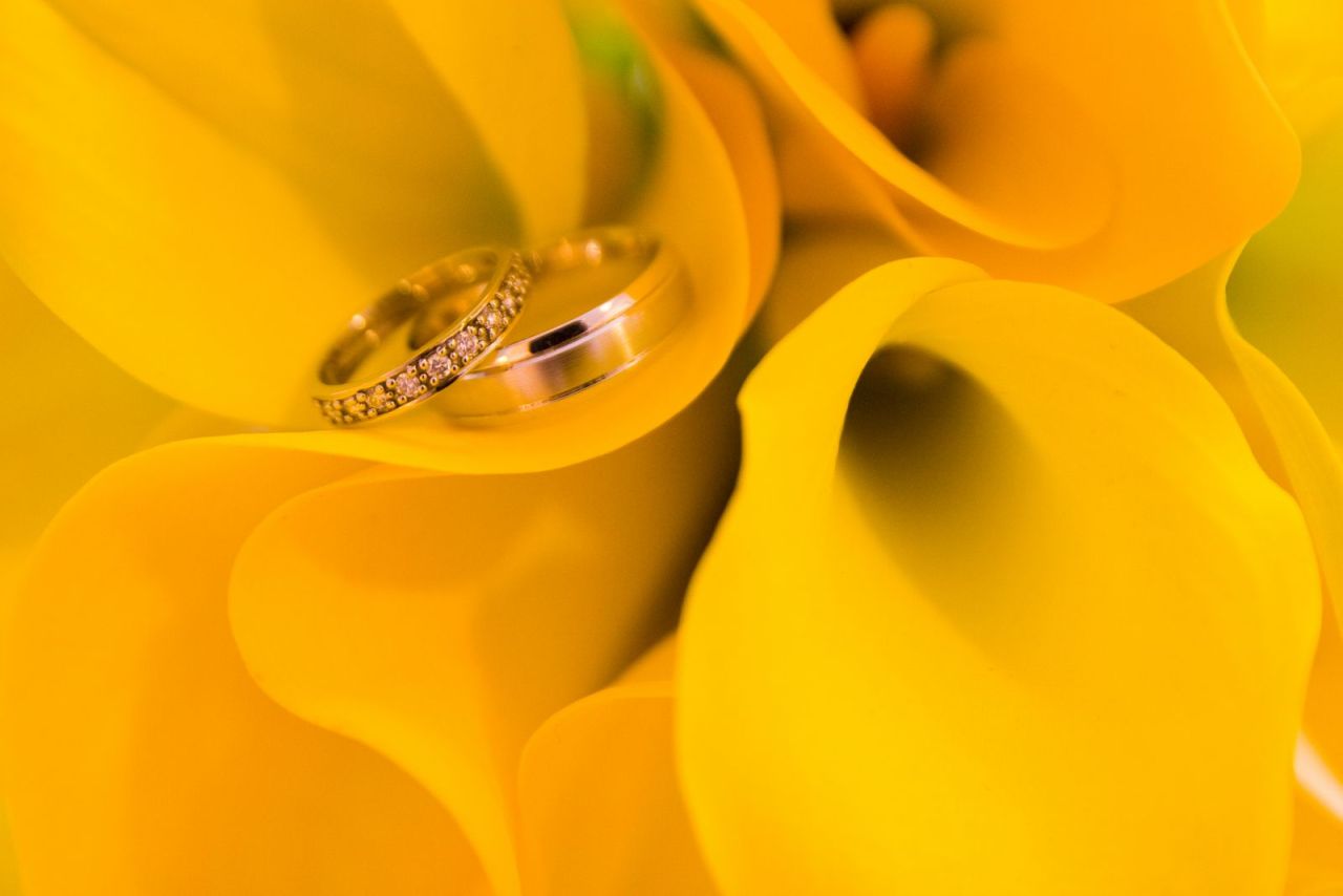 Rings in flowers